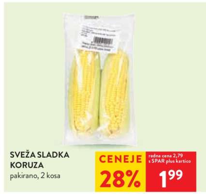 SVEŽA SLADKA KORUZA