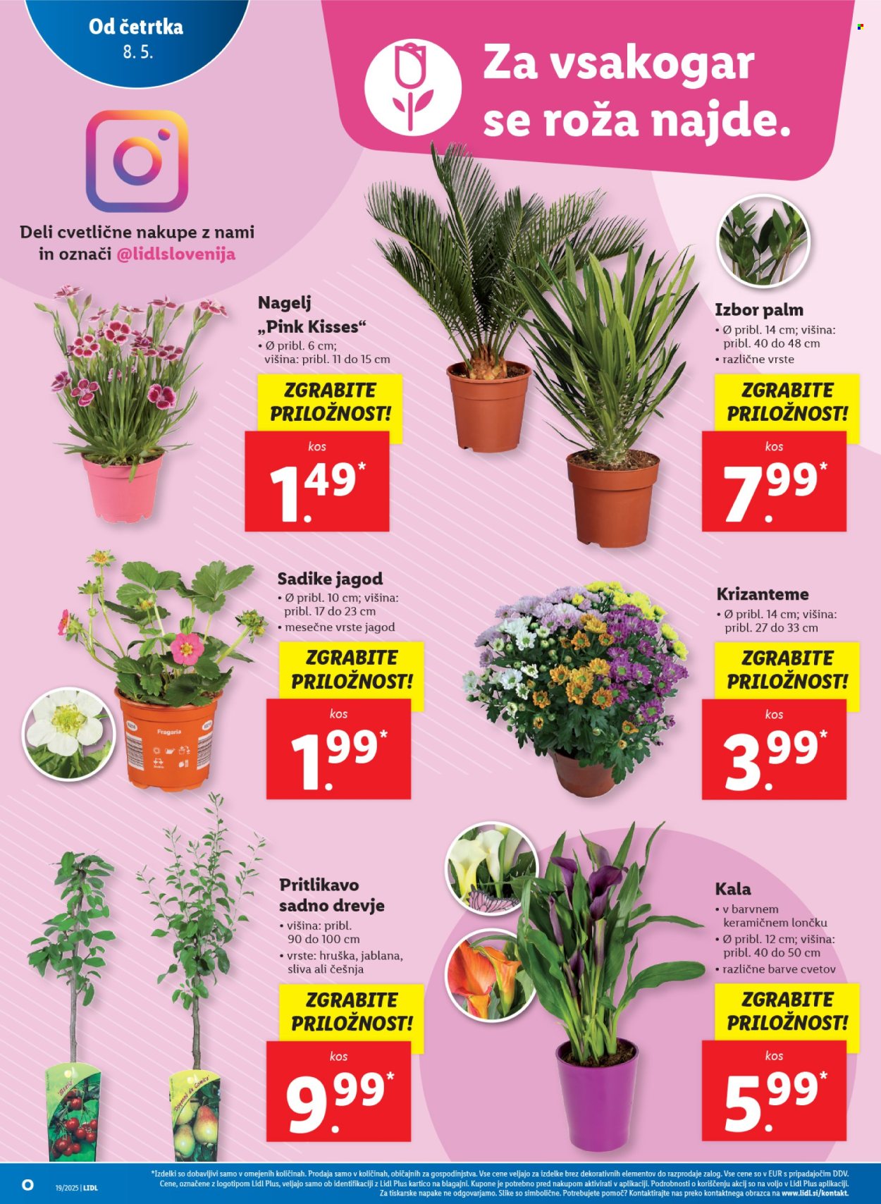 Lidl katalog - 08.05.2025 - 14.05.2025.