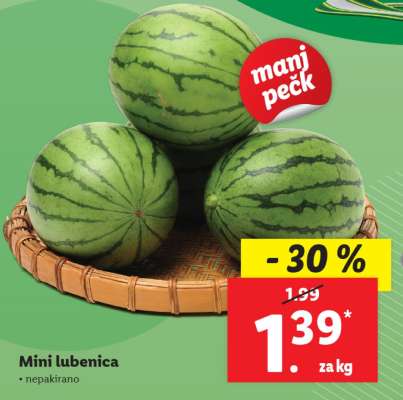 MINI LUBENICA