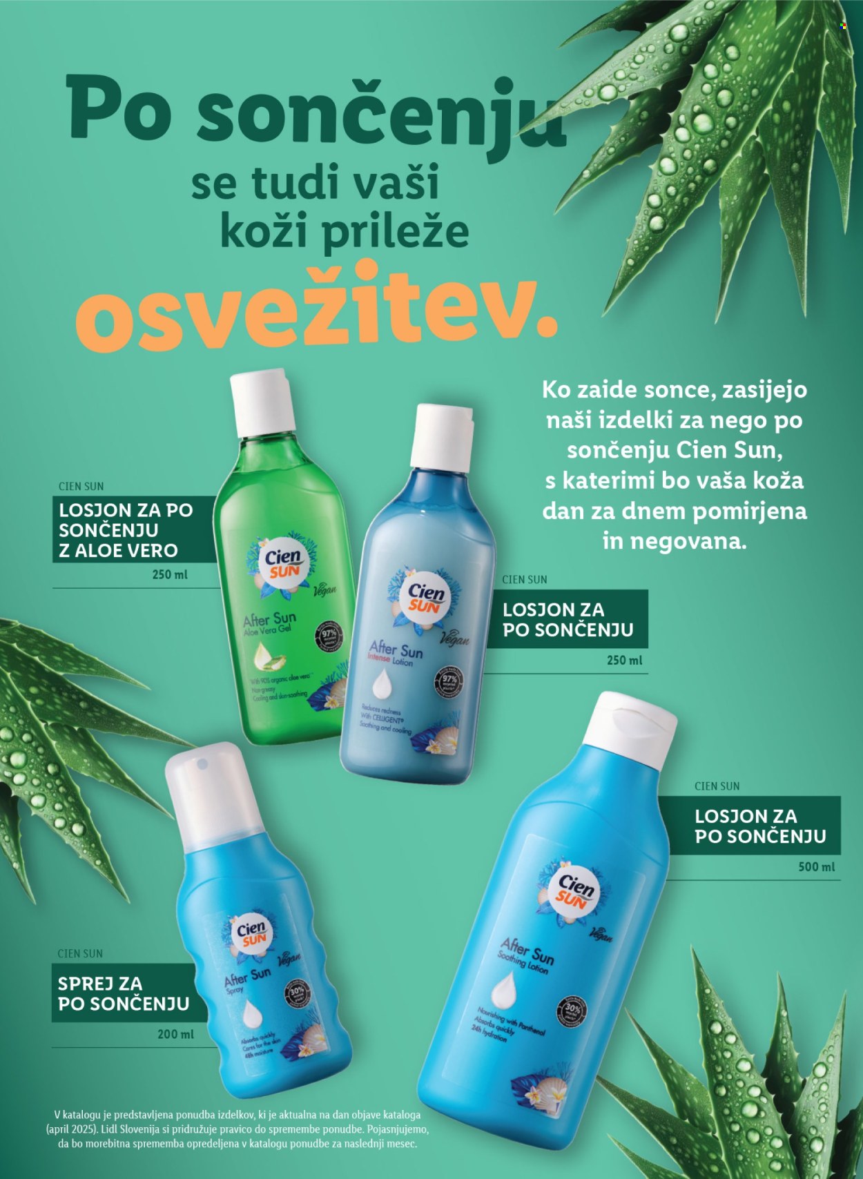 Lidl katalog.