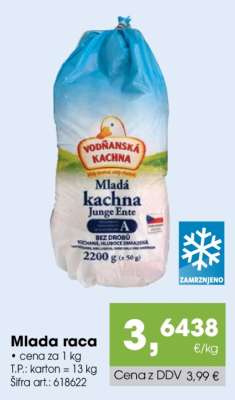 Mlada Raca