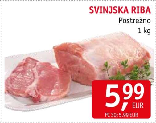 SVINJSKA RIBA