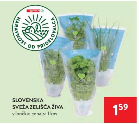 Slovenska sveža zelišča živa