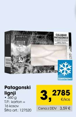 Patagonski lignji