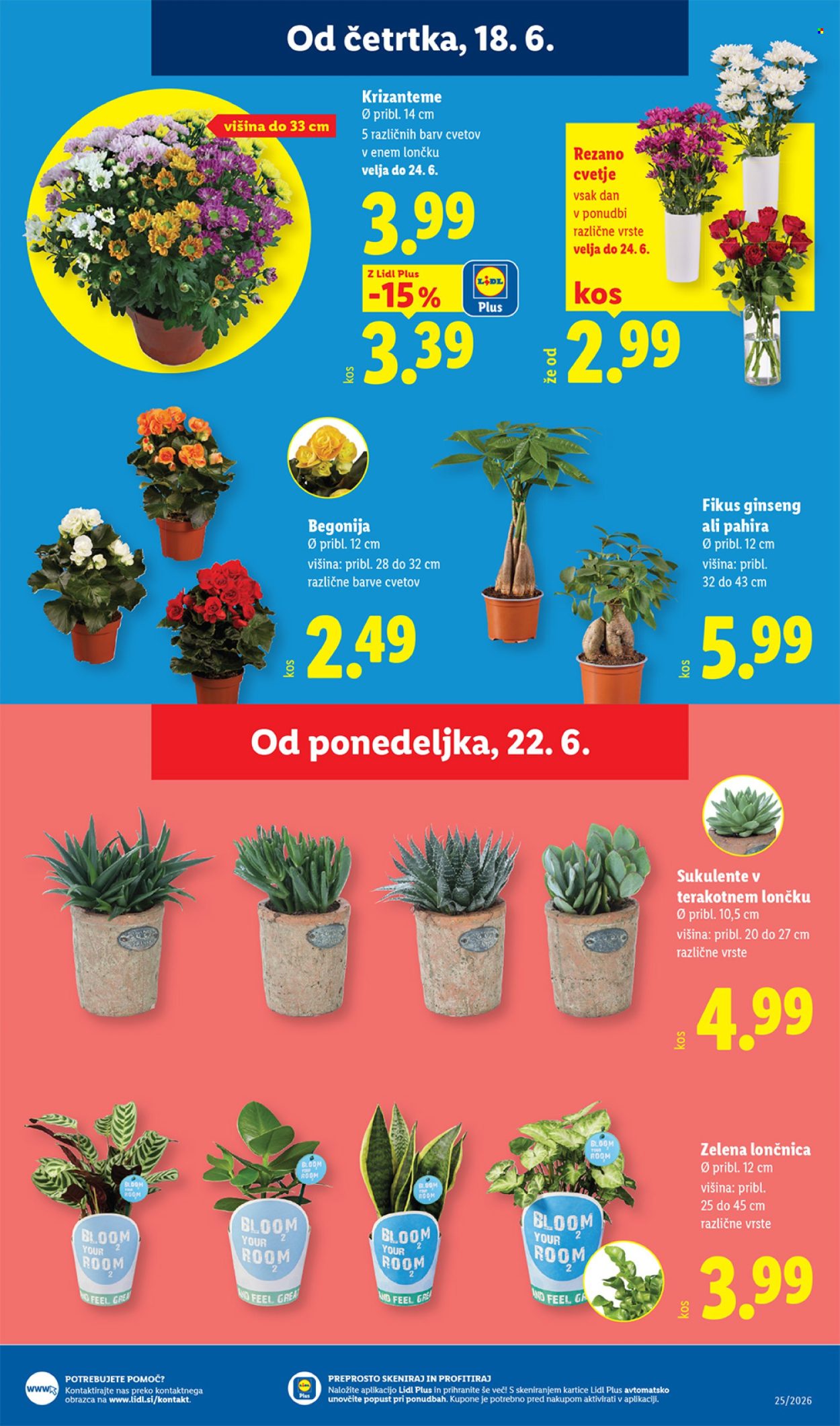 Lidl katalog - 18.06.2026 - 24.06.2026. Stran 23