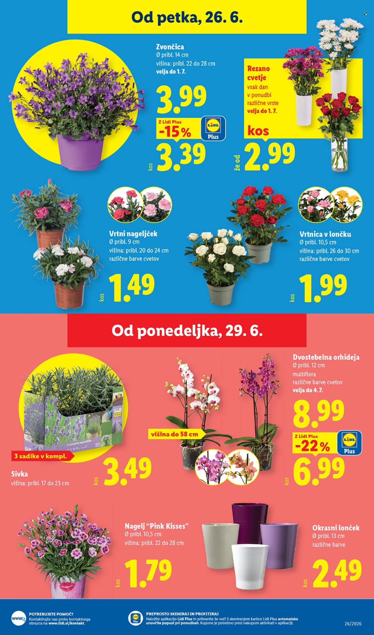 Lidl katalog - 24.06.2026 - 01.07.2026. Stran 27