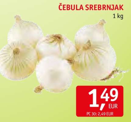 Čebula Srebrnjak