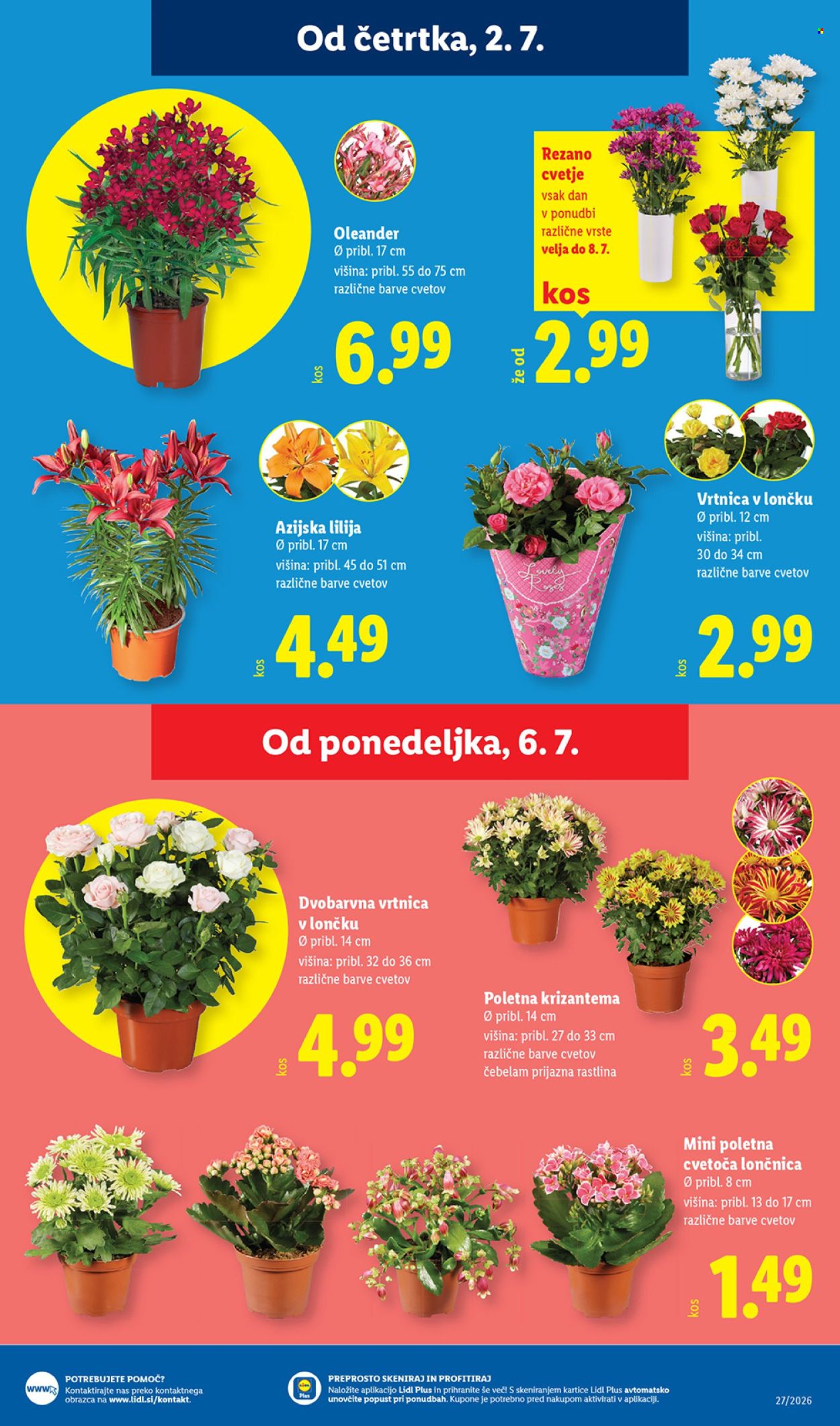 Lidl katalog - 02.07.2026 - 08.07.2026. Stran 27