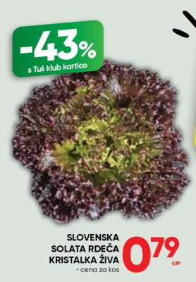 Slovenska solata rdeča kristalka živa