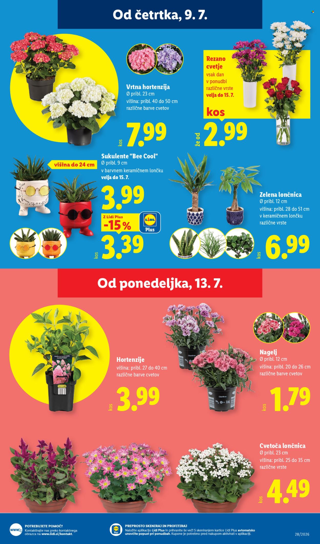 Lidl katalog - 09.07.2026 - 15.07.2026. Stran 23