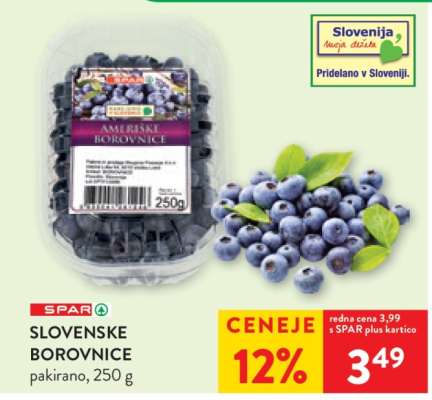Slovenske borovnice