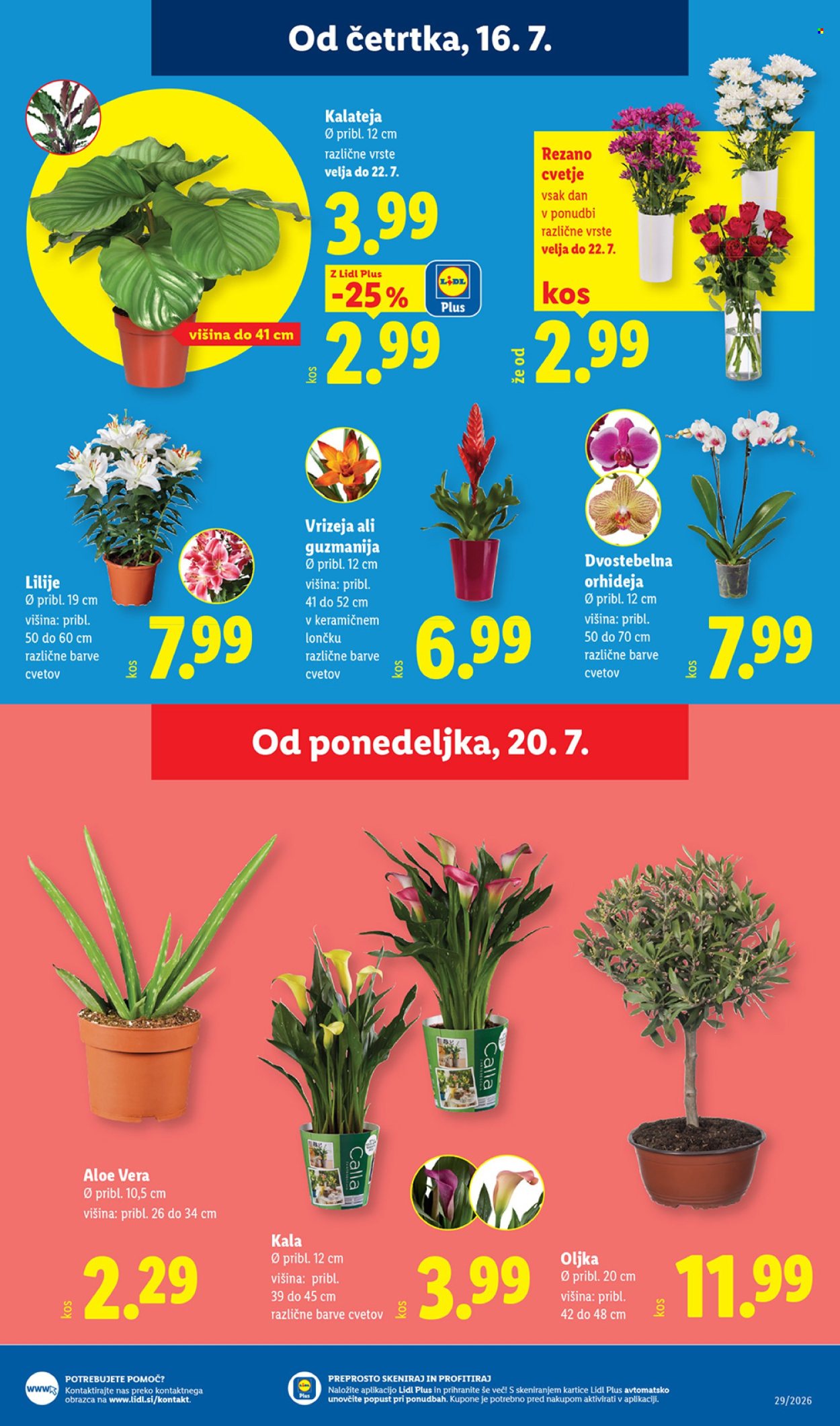 Lidl katalog - 16.07.2026 - 22.07.2026. Stran 29
