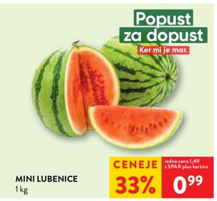 MINI LUBENICE