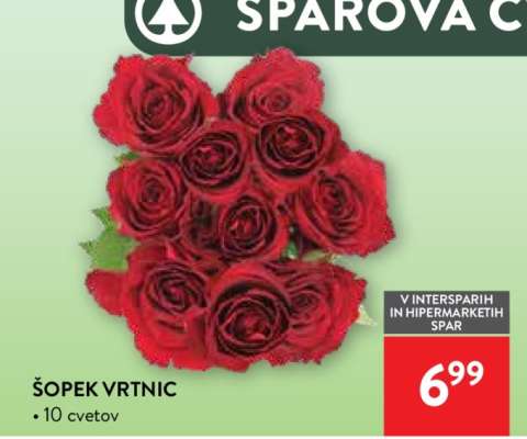 ŠOPEK VRTNIC
