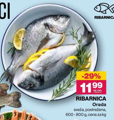RIBARNICA Orada