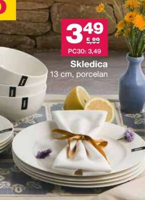 SKLEDICA