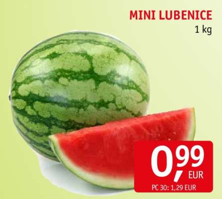 MINI LUBENICE