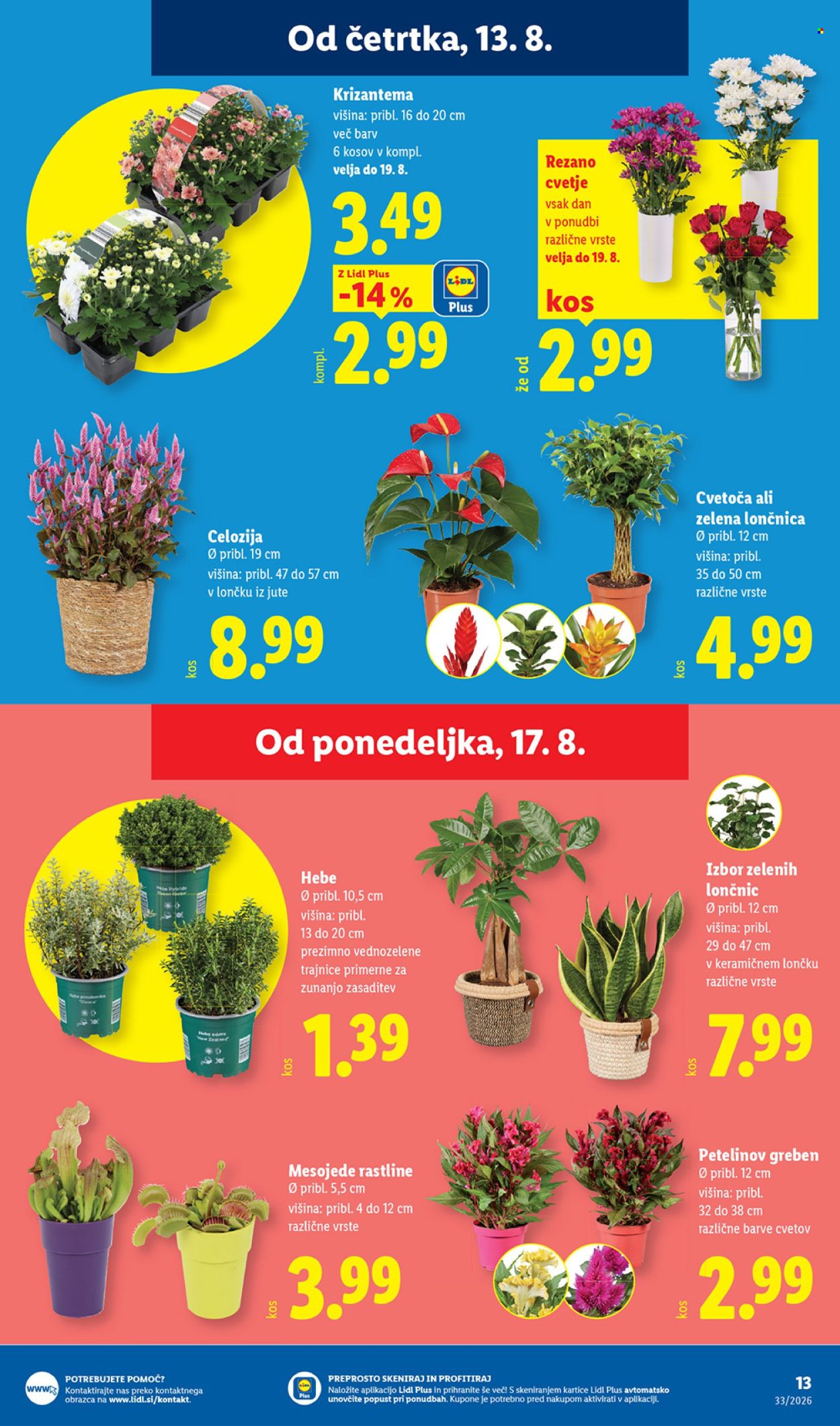 Lidl katalog - 13.08.2026 - 19.08.2026. Stran 21