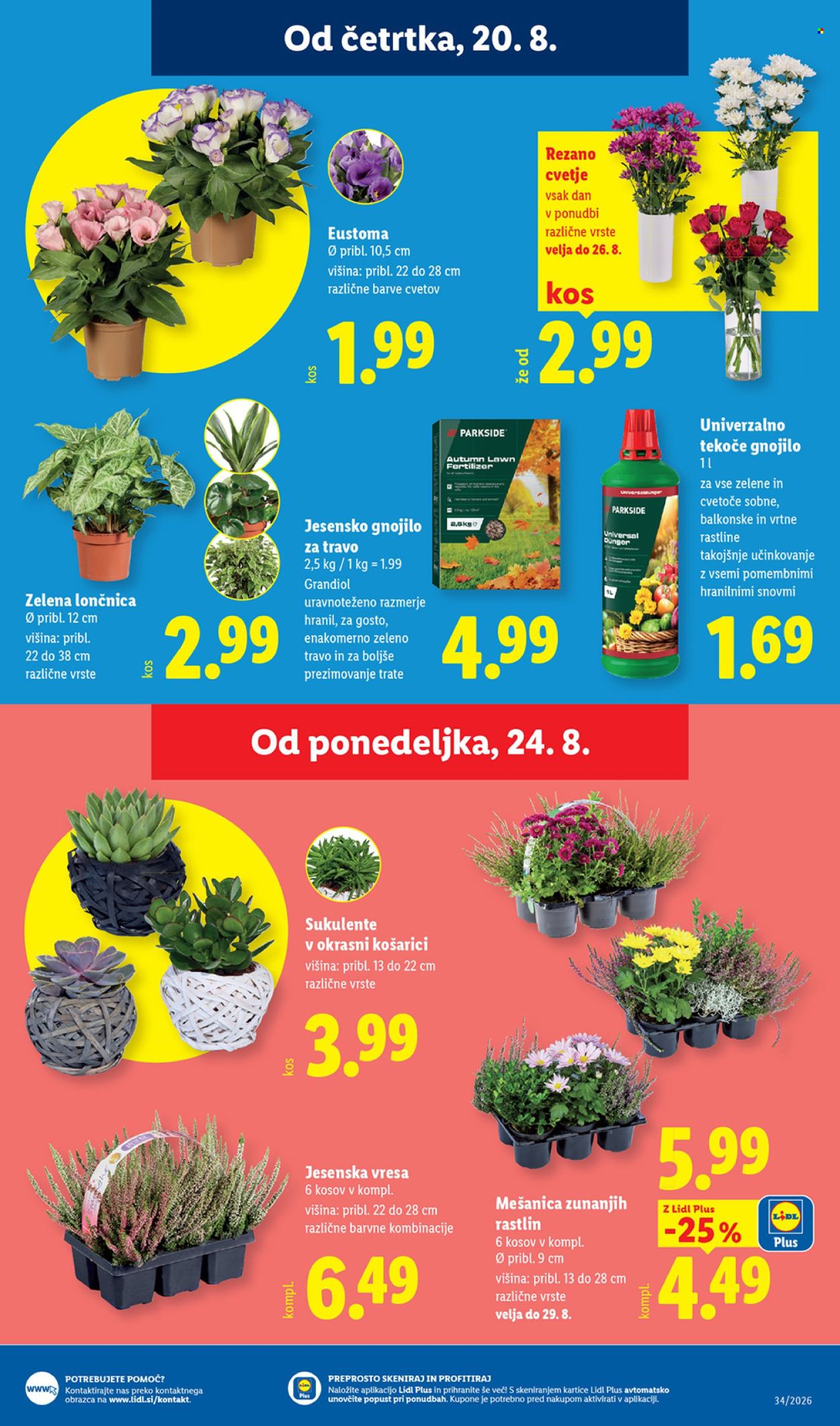 Lidl katalog - 20.08.2026 - 26.08.2026. Stran 25