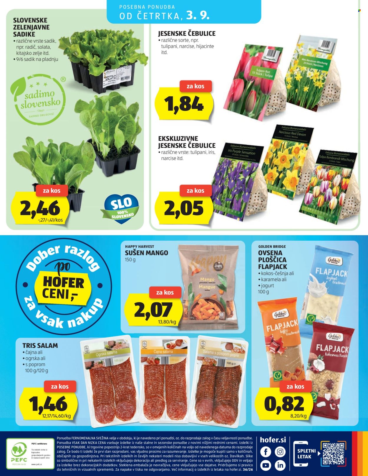 Hofer katalog - 26.08.2026 - 03.09.2026. Stran 28