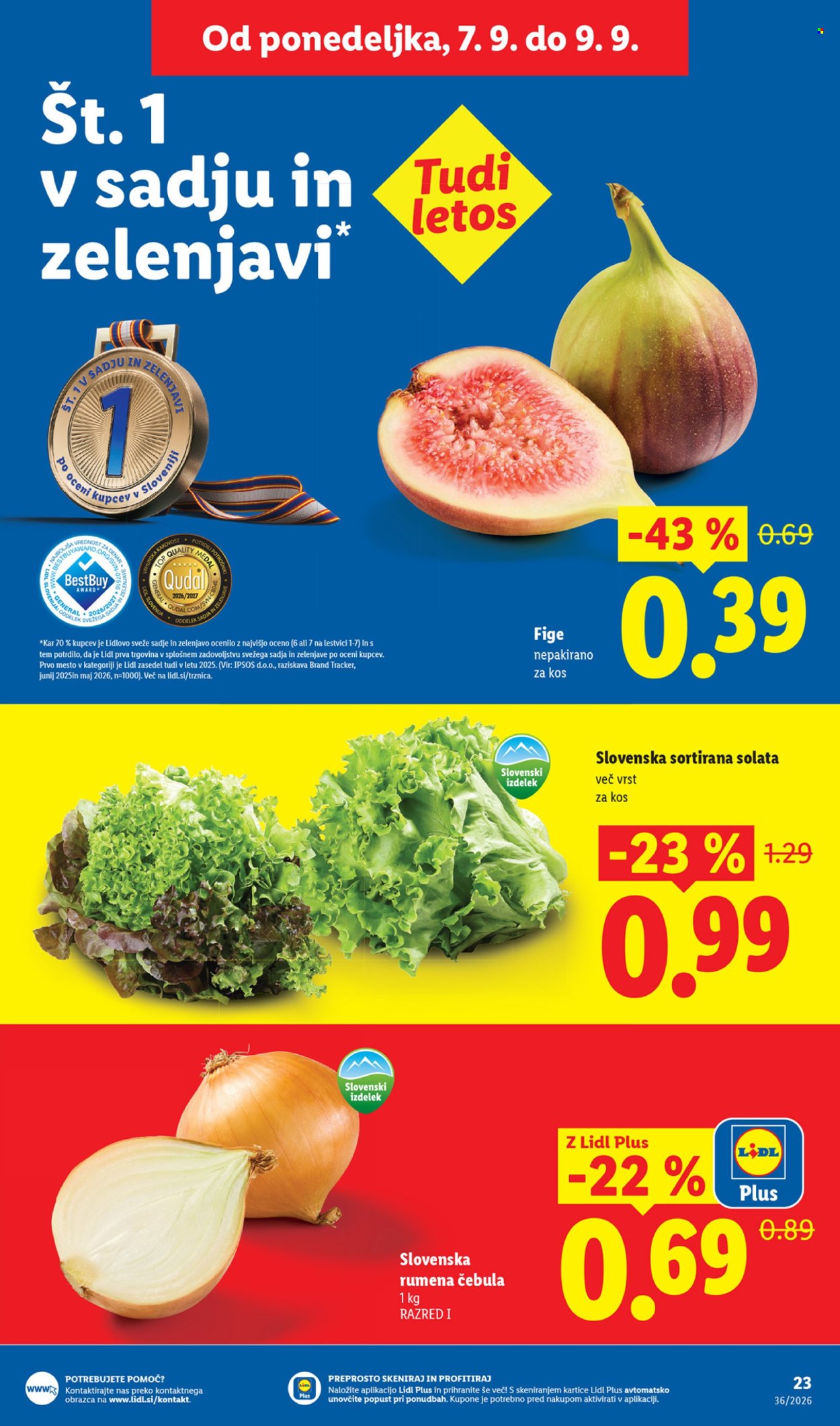 Lidl katalog - 03.09.2026 - 09.09.2026. Stran 41