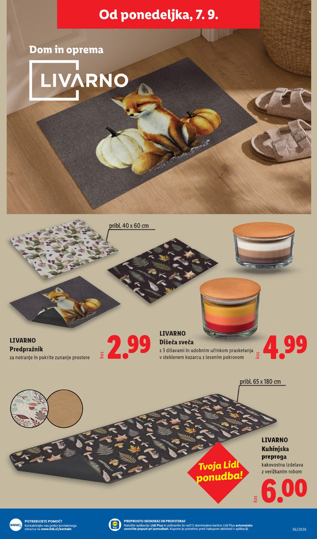 Lidl katalog - 03.09.2026 - 09.09.2026. Stran 55