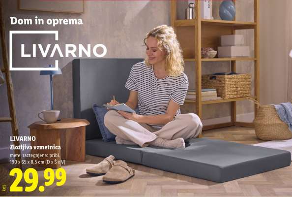 LIVARNO Zložljiva vzmetnica