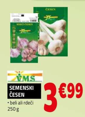 SEMENSKI ČESEN