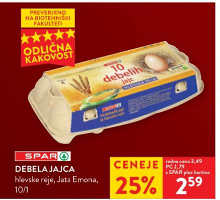 DEBELA JAJCA