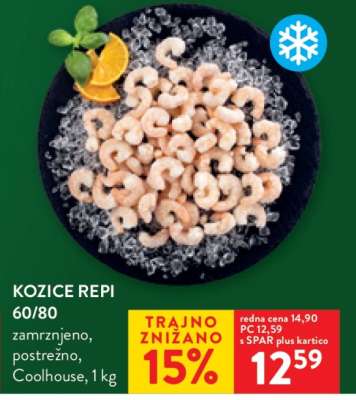 KOZICE REPI 60/80