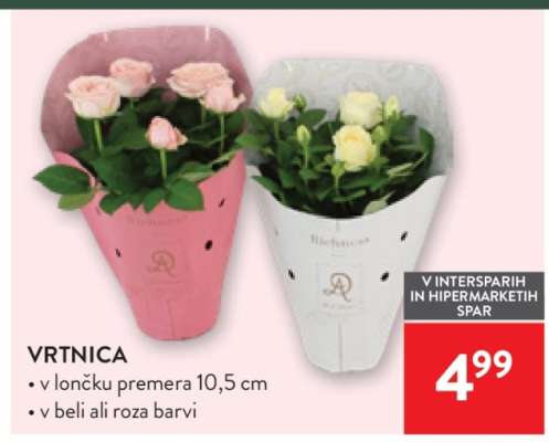 VRTNICA