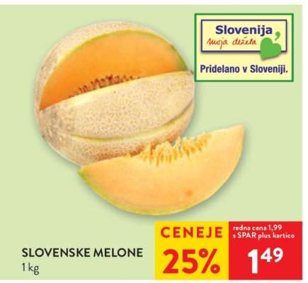 SLOVENSKE MELONE