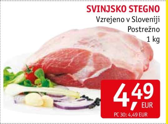 SVINJSKO STEGNO