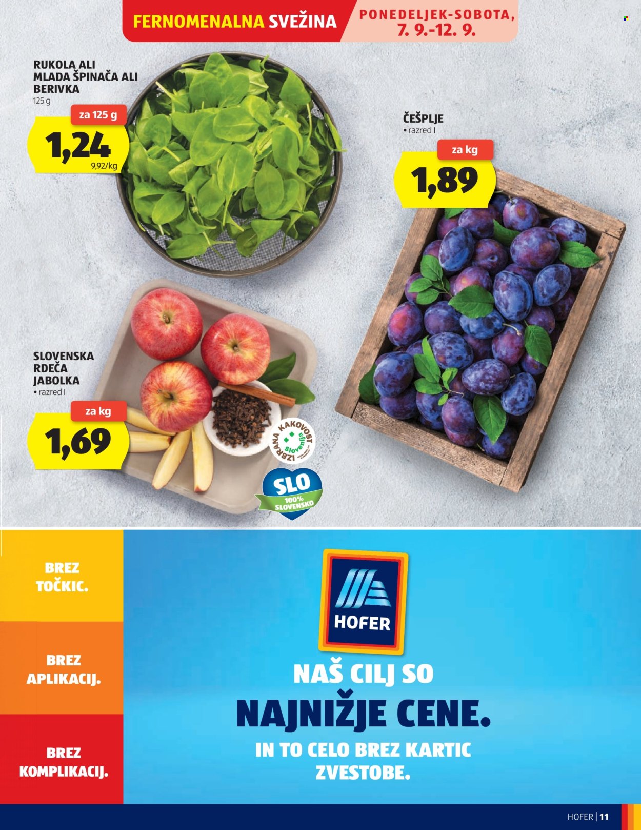 Hofer katalog - 02.09.2026 - 10.09.2026. Stran 11