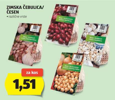 Zimska čebulica/česen