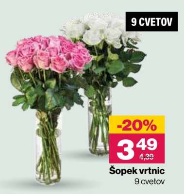 ŠOPEK VRTNIC