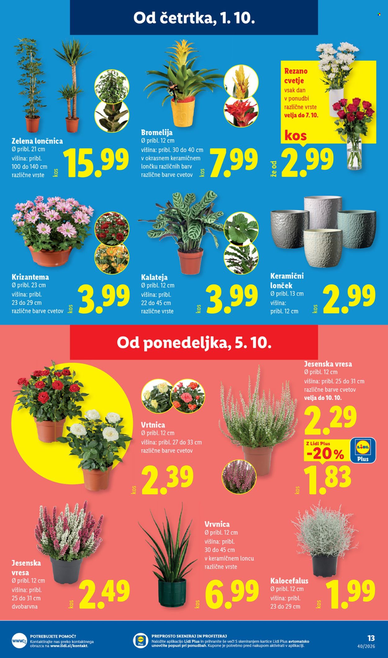 Lidl katalog - 01.10.2026 - 07.10.2026. Stran 21