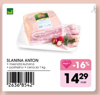 SLANINA ANTON