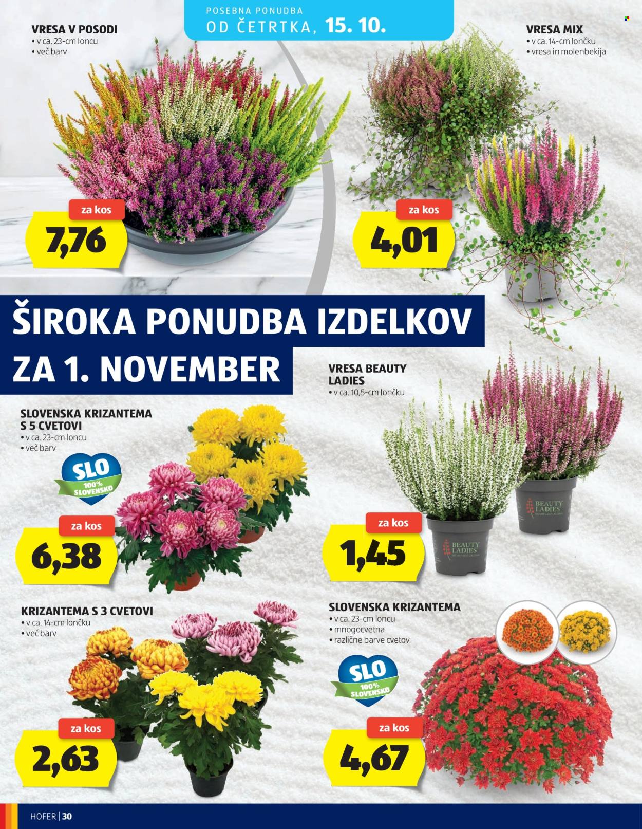 Hofer katalog - 07.10.2026 - 15.10.2026. Stran 30