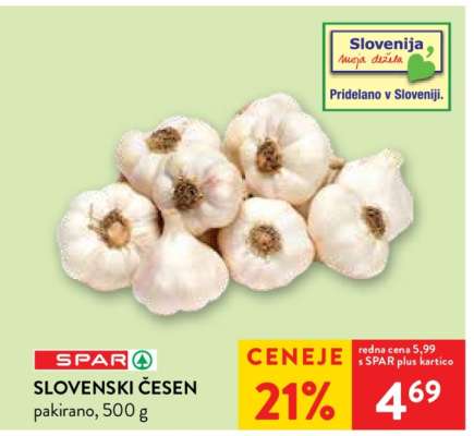 SLOVENSKI ČESEN