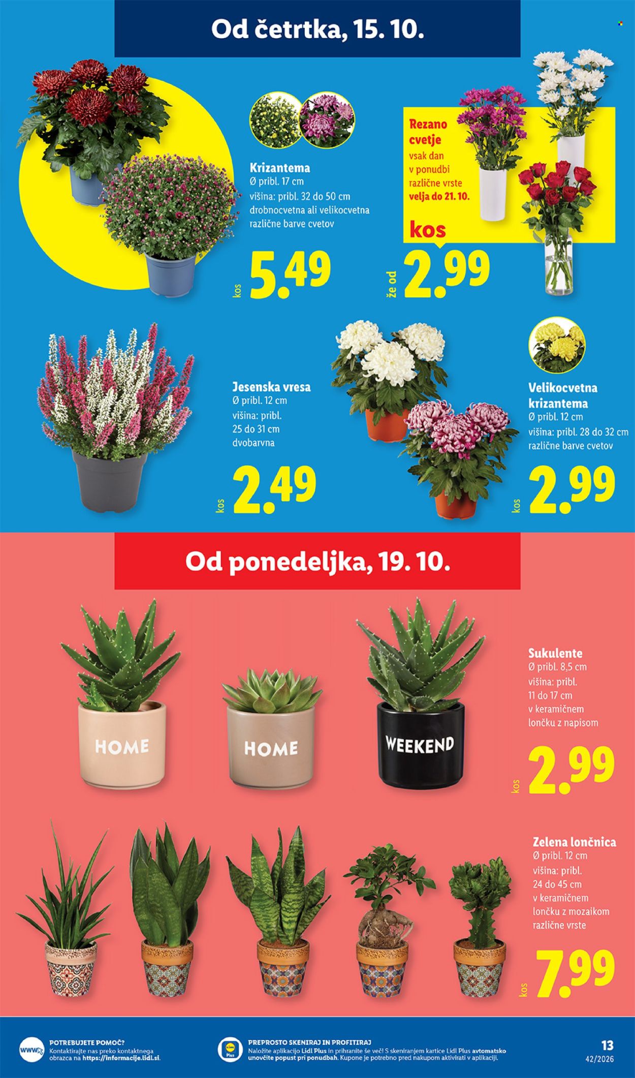 Lidl katalog - 15.10.2026 - 21.10.2026. Stran 27