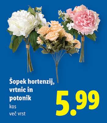 Šopek hortenzij, vrtnic in potonik
