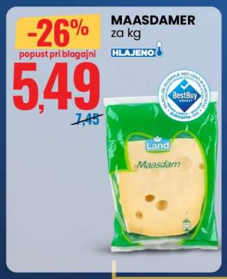 MAASDAMER
