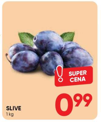 Slive
