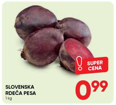 SLOVENSKA RDEČA PESA