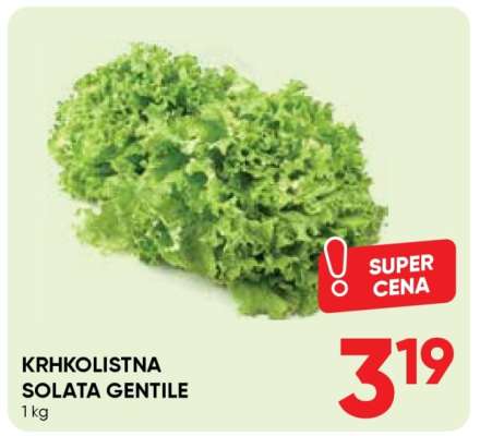 KRHKOLISTNA SOLATA GENTILE