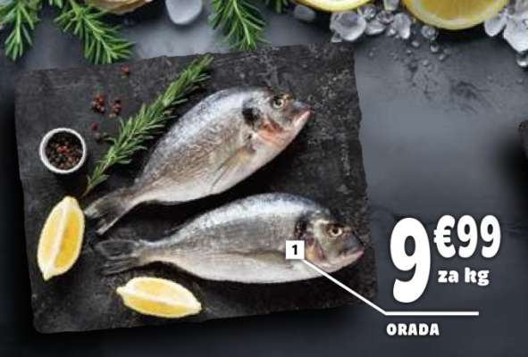 Orada