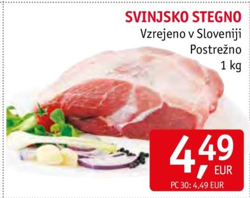 SVINJSKO STEGNO