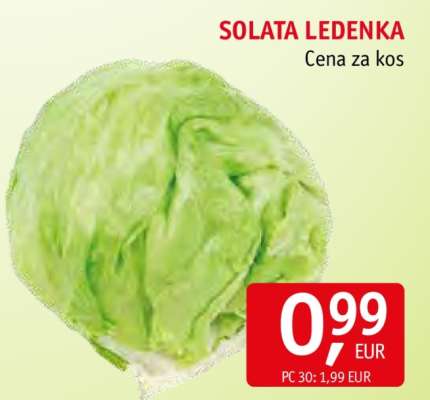 SOLATA LEDENKA