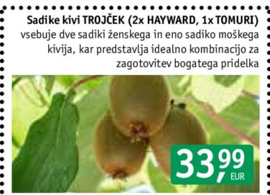 Sadike kivi TROJČEK (2x HAYWARD, 1x TOMURI)